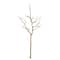 Branche de bouleau nue d’Ashland, 101,6 cm